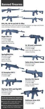 Banned firearms.jpg
