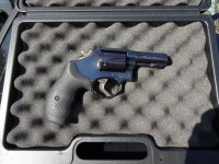 SW5479mm.jpg