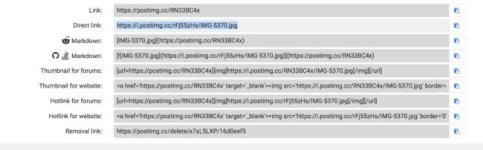 Screen Shot 2020-05-10 at 12.40.30 PM.jpg