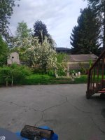 Crabapple 001.jpg