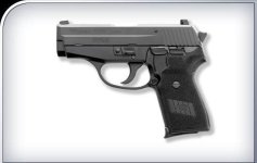 SIG P239.jpg