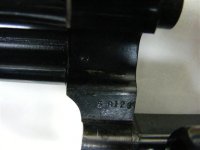Pic 6.jpeg