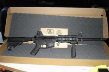 MP15.jpg