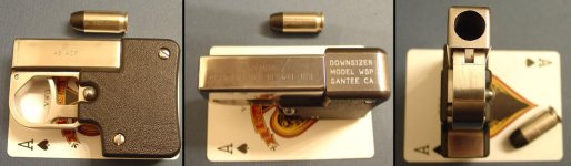Downsizer-WSP.jpg