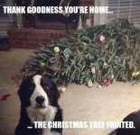 dasher christmas.jpg
