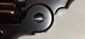 20200613_110711.jpg