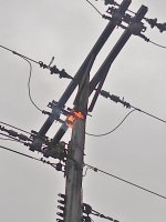 IMG_20200423_092607315.jpg