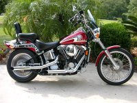 1995 FXSTC-1.jpg