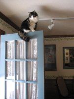 2003-02-20  Lila tricks 027.jpg
