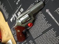 Custom SP101.jpg