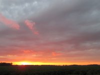 IMG_2338.JPG
