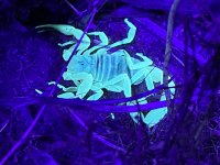IMG_7658.jpg