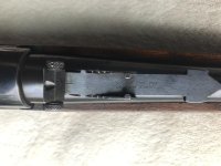 B905C671-EA33-4186-9252-7D4377BAC090.jpg