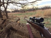 Winchester Mod 70 Texas.jpg