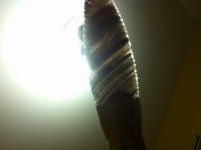 IMG_0616.JPG