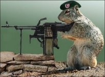 Funny squirrels with guns1.jpg