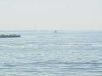 DSC07767.jpg
