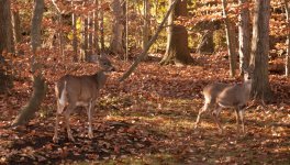 Mother and Daughter 1024_0030.jpg