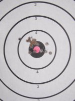 P365Target.jpg