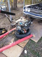 IMG_20201118_160613.jpg