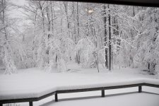 Backyard_0001sml.jpg