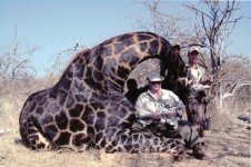 giraffe.jpg