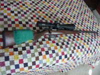 CZ527 .223 Varmint, Nightforce NightForce SHV 4-14x50mm F1.jpg