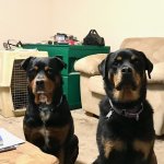 Ted&Ruby.jpg