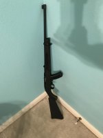22LRRuger1022.jpg