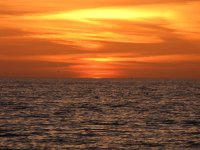 IMG_2544.jpg