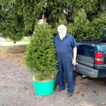 live tree.jpg