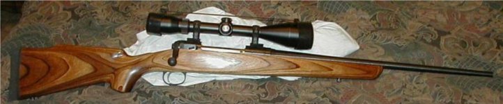 savage 25-06.jpg