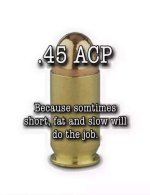 45 short, fat, slow.jpg