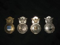 badgepic.jpg