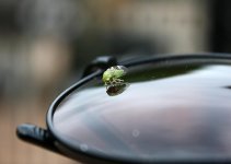 LeafHopperSunglasses1.jpg
