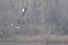 2016-01-17 Centerville AR 05.jpg