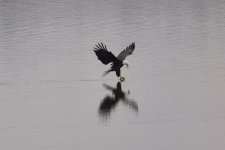 2016-01-17 Centerville AR 43.jpg