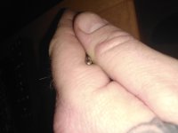 IMG_20210107_132733.jpg