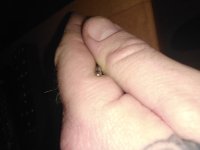 IMG_20210107_132728.jpg