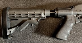 butt stock.JPG