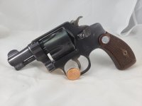 S&W Terrier Pic 1.jpg