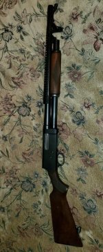 20200711_193716.jpg