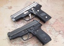 SIG  229s (1).JPG