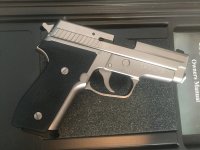 P229_Nickel_01.jpg