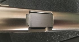 P229_Nickel_03.jpg