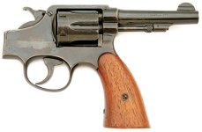 polish gun.jpg