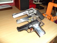 Taurus 1.jpg