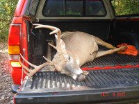 10-08-2011 IL Deer 005.jpg