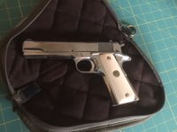 colt (2).jpg