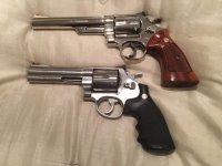 44 magnums.jpg